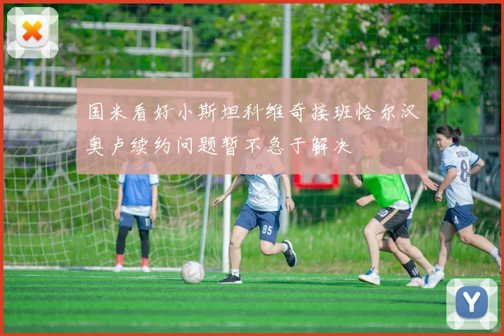 国米看好小斯坦科维奇接班恰尔汉奥卢续约问题暂不急于解决
